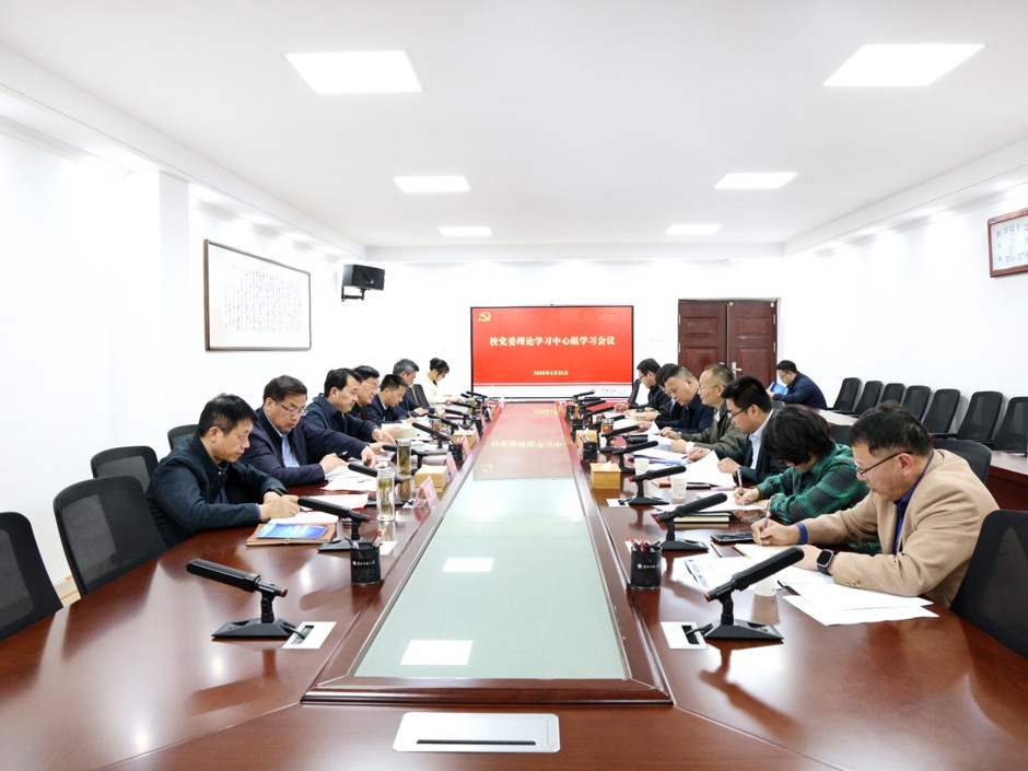 学校党委理论学习中心组开展总体国家安全观专题学习研讨