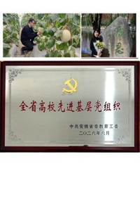 【榜样力量（一）】—— 全省高校“两优一先”表彰对象先进事迹