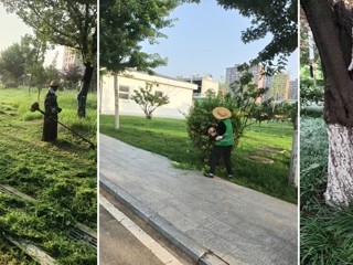 总务处全面筑牢暑期校园后勤保障防线