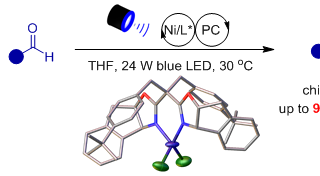 《Journal of the American Chemical Society》发表我校杨友清教授团队成果
